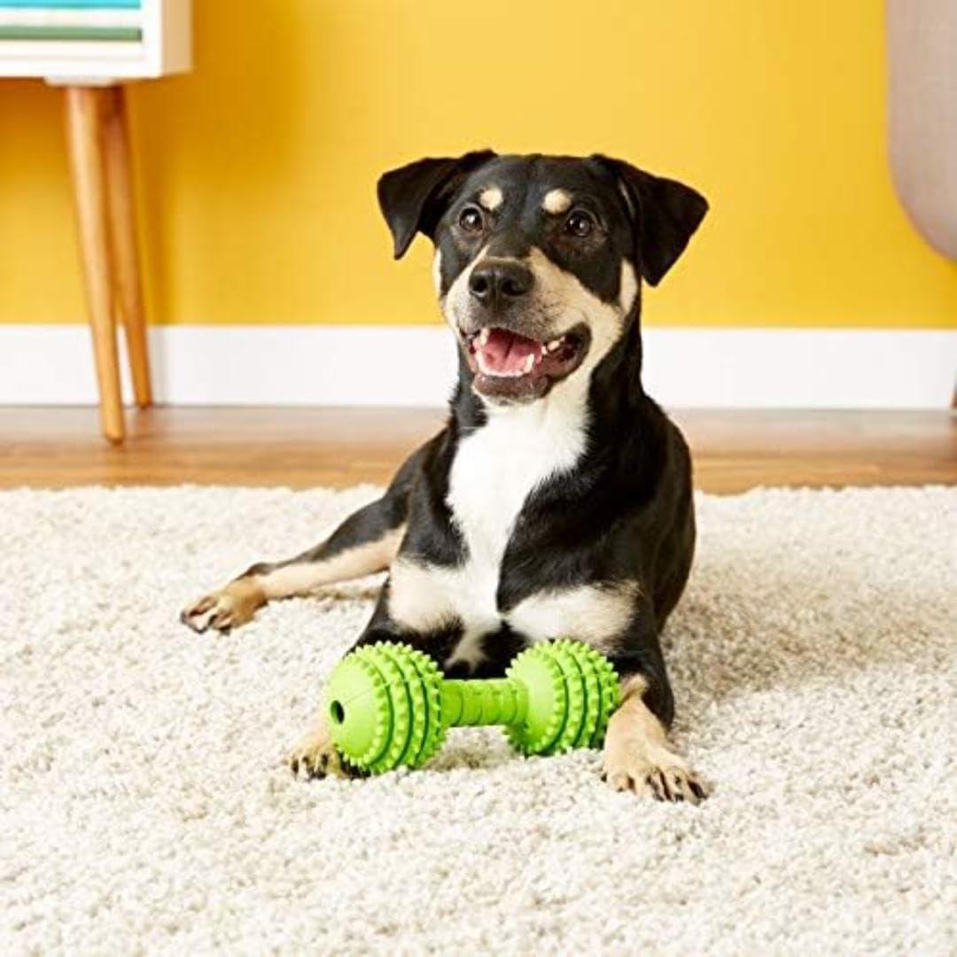 imageJW Pet Chompion Heavyweight Dog Chew Toy for Large Breeds Assorted ColorsSmall 5 x 175 x 475