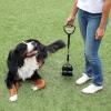 imageArm ampamp Hammer Pooper Scooper Claw Scoop Dog Poop Scooper for Yard Pet Waste Management System