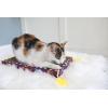 imageBig Mamas Scratch Cat Toy Box Includes 100 Organic Catnip Grown In The USABox