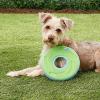 imageChuckIt Zipflight Flyer Dog Frisbee ampamp Dog Toy that Floats Gentle On Dogs Teeth and Gums Medium