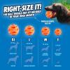 imageChuckit Air Fetch Ball Dog Toy Medium 25 Inch Diameter for dogs 2060 lbs Pack of 2Large