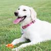 imageChuckit Air Fetch Ball Dog Toy Medium 25 Inch Diameter for dogs 2060 lbs Pack of 2Large
