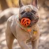 imageChuckit Air Fetch Ball Dog Toy Medium 25 Inch Diameter for dogs 2060 lbs Pack of 2Medium