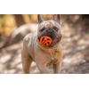 imageChuckit Air Fetch Ball Dog Toy Medium 25 Inch Diameter for dogs 2060 lbs Pack of 2Small