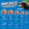 imageChuckit Dog Ball Launcher  Classic 26quot with Medium 25quot Dog Fetch Ball Thrower For Dogs 2060 Pounds Made in USASport