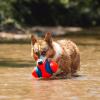 imageChuckit Fumble Fetch Dog Football  Outdoor and Indoor Interactive Dog Toy with Grooved Design for Easy Pickup  Made from Durable Rubber  Floats in Water  Small  Orange and BlueOrangeBlue