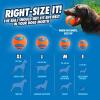 imageChuckit Gen 1 Fetch Medley Dog Balls  Interactive Dog Toys HighBounce Fetch Ball Floating Ultra and Rugged Balls Durable  Size Medium 25inch Diameter Set of 3Medium 25