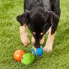 imageChuckit Gen 1 Fetch Medley Dog Balls  Interactive Dog Toys HighBounce Fetch Ball Floating Ultra and Rugged Balls Durable  Size Medium 25inch Diameter Set of 3Medium 25