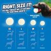 imageChuckit Glow in the Dark Bouncy Balls  Ball for Dogs Chuckit Dog Toy Max Glow Balls  Medium 25 Inch Pack of 2Large
