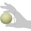 imageChuckit Glow in the Dark Bouncy Balls  Ball for Dogs Chuckit Dog Toy Max Glow Balls  Medium 25 Inch Pack of 2Medium