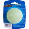 imageChuckit Glow in the Dark Bouncy Balls  Ball for Dogs Chuckit Dog Toy Max Glow Balls  Medium 25 Inch Pack of 2Medium