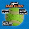 imageChuckit Glow in the Dark Bouncy Balls  Ball for Dogs Chuckit Dog Toy Max Glow Balls  Medium 25 Inch Pack of 2Small