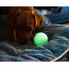 imageChuckit Glow in the Dark Bouncy Balls  Ball for Dogs Chuckit Dog Toy Max Glow Balls  Medium 25 Inch Pack of 2Small