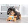 imageChuckit Indoor Fetch Roller Toy for Dogs  Interactive Dog Toys for Boredom Orange and BlueOrange  Blue Fetch Ball