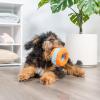 imageChuckit Indoor Fetch Roller Toy for Dogs  Interactive Dog Toys for Boredom Orange and BlueOrange  Blue Squirrel