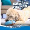 imageChuckit Indoor Super Slider SelfFetch Squeaky Toy for Dogs  Glides Harmlessly On Most Surfaces  Fun Dog Toys to Keep Them Busy  For Small Medium and Large Breeds  Durable Rubber