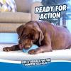 imageChuckit Indoor Super Slider SelfFetch Squeaky Toy for Dogs  Glides Harmlessly On Most Surfaces  Fun Dog Toys to Keep Them Busy  For Small Medium and Large Breeds  Durable Rubber