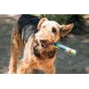 imageChuckit Interactive Dog Toy Ultra Fetch Stick  12 Inch Outdoor Dog Toy for All Breed SizesEcoFetch