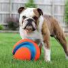 imageChuckit Kick Fetch Ball Dog Toy Small 6 InchLarge