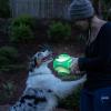 imageChuckit Kick Fetch Ball Dog Toy Small 6 InchLarge