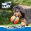 imageChuckit Kick Fetch Ball Dog Toy Small 6 InchLarge