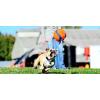 imageChuckit Kick Fetch Ball Dog Toy Small 6 InchSmall