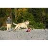 imageChuckit Kick Fetch Ball Dog Toy Small 6 InchSmall