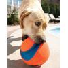 imageChuckit Kick Fetch Ball Dog Toy Small 6 InchSmall