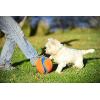 imageChuckit Kick Fetch Ball Dog Toy Small 6 InchSmall