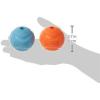 imageChuckit Medium Fetch Ball 25quot 2 Pack Colors Vary