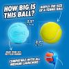 imageChuckit Rebounce Ball Dog Toy  Bouncy Fetch Balls for Dogs 2060 lbs  Made from Durable Rubber  Outdoor Pet Toys  Size Medium  25inch Diameter  Pack of 2  Blue