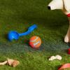 imageChuckit Sport 14S Dog Ball Launcher  Includes a 2inch Diameter Small Ball for Dogs 020 Pounds  Manual Tennis Ball Thrower With a Slim Handle  14inch Length ChuckerClassic