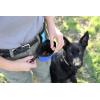 imageChuckit Treat Tote Dog Treat Pouch for Puppy Training 1 Cup Capacity Assorted Colors1 Cup