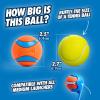 imageChuckit Ultra Ball Dog Toy  Medium Bouncy Fetch Balls For Dogs 2060 lbs  Made from Durable Rubber  Floating Water Pet Toys  Size Medium  25inch Diameter  Pack of 2Medium 8 Pack