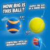 imageChuckit Ultra Ball Dog Toy  Medium Bouncy Fetch Balls For Dogs 2060 lbs  Made from Durable Rubber  Floating Water Pet Toys  Size Medium  25inch Diameter  Pack of 2Squeaker