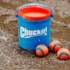 imageChuckit Ultra Ball Dog Toy  Medium Bouncy Fetch Balls For Dogs 2060 lbs  Made from Durable Rubber  Floating Water Pet Toys  Size Medium  25inch Diameter  Pack of 2Medium 8 Pack