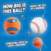 imageChuckit Ultra Squeaker Ball Dog Toy Large 3 Inch 1 Pack for Large BreedsUltra