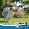 imageChuckit Ultra Squeaker Ball Dog Toy Small 2 Inch 2 Pack for Small BreedsUltra
