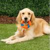 imageChuckit UltraRing Fetch and Chase Outdoor Dog Toy All BreedsUltra Squeaker Ring