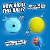 imageChuckit Whistler Ball Dog Toy Pack of 2 Multicolor Medium 25 Inch Diameter for Dogs 2060 lbs2 Count Pack of 1