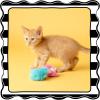 imageFAT CAT Fluff Bunnies Cat Toys  Catnip Kicker Toy Pack of 1 Blue or Pink