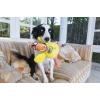 imageFATCAT Dog Toys  Barnyard Bullies Plush Dog Toy  Made With Heavy Duty Canvas ampamp Includes Squeaker