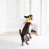 imageFATCAT Dog Toys  Barnyard Bullies Plush Dog Toy  Made With Heavy Duty Canvas ampamp Includes Squeaker