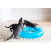 imageFat Cat Crazy Circle with Catnip Ball Interactive Cat ToyLarge