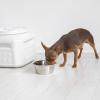 imageGamma2 Vittles Vault Dog Food Storage Container with Airtight Lid holds up to 1015 Pounds of Dry Pet Food Cat Kibble and Bird Feed BPA Free Made in USA15 Pounds