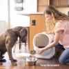 imageGamma2 Vittles Vault Stackable Dog Food Storage Container with Sealing Lid Up to 40 lbs Dry Pet Food Storage Container USAMade  205quotL x 12quotW x 1675quotH