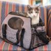 imageGen7Pets Carry Me Pet Carrier for Dogs and Cats  Easy Portability Water Bottle Pouch Zippered Pocket and Fits Under Most Airline Seats