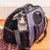 imageGen7Pets Carry Me Pet Carrier for Dogs and Cats  Easy Portability Water Bottle Pouch Zippered Pocket and Fits Under Most Airline Seats