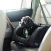 imageGen7Pets Dog Carrier  Large Black Roller Bag Pet CarrierBlack