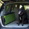 imageGen7Pets Natural Step Ramp for Vehicles 42 InchGreen